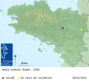 Chelun (35) - 06.07.18 Finalbase2